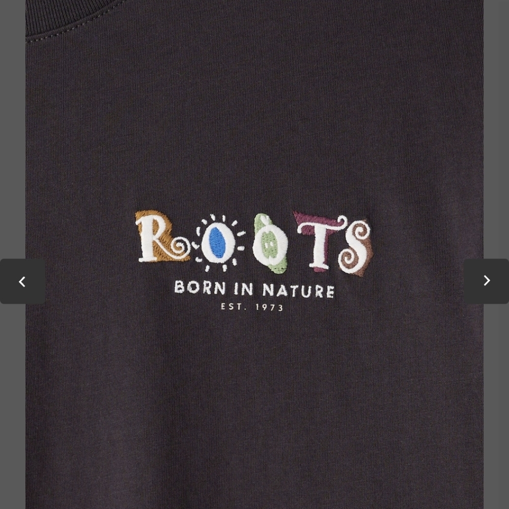 Roots Men's Charcoal Tee - Picture 4 of 9